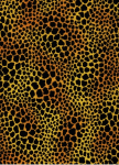 Flannel - Jungle Soul - Leopard Spots, Black on Gold